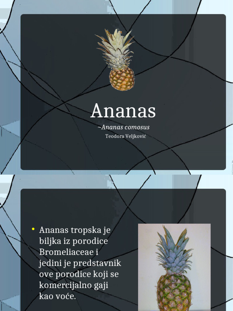Ananas | PDF