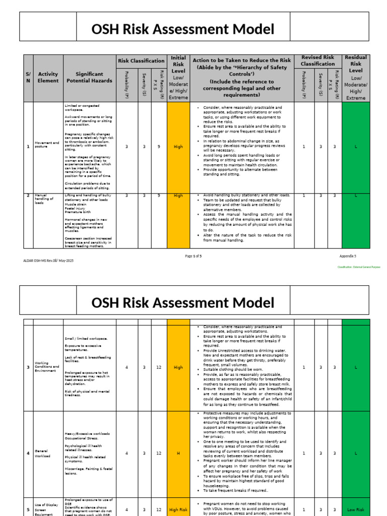 Risk Assesment New and Expectant Mother | PDF | Infection | Pregnancy