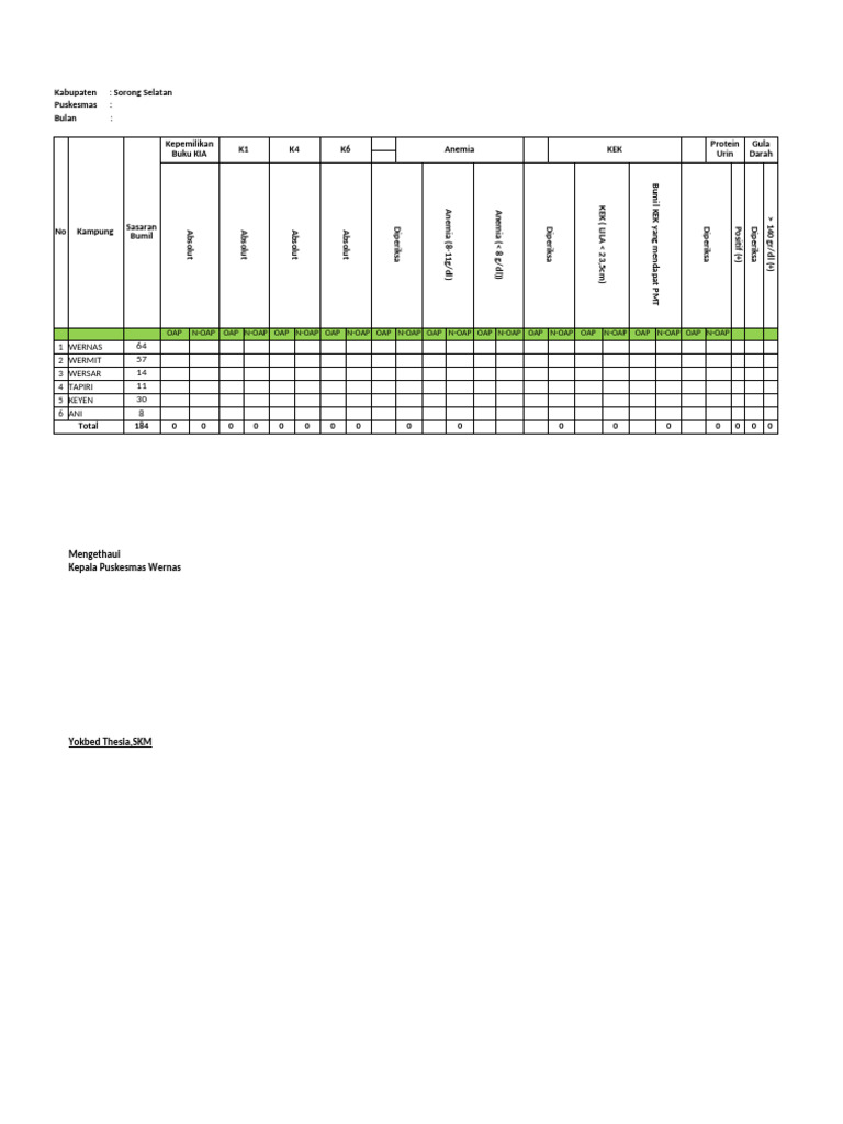 Format Rekapan Lap - Bulanan | PDF