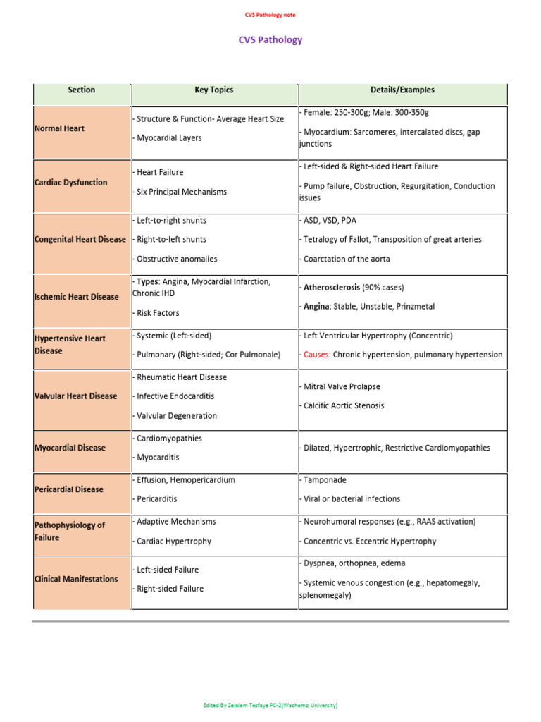 Comprehensive CVS Pathology Overview | PDF | Heart | Congenital Heart ...