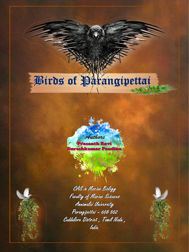 Birds Book Information | PDF | Birds | Ornithology