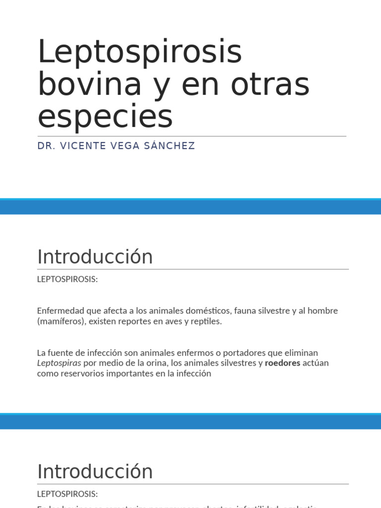 Leptospiroscopy Infection Reference: Leptospirosis En Bovinos Y Otras Especies Pdf Enfermedades Y Trastornos