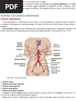 Anatomia do Sistema Venoso Ázigo | PDF | Fígado | Abdômen