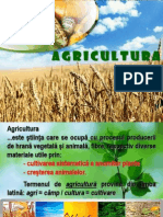 Agricultura