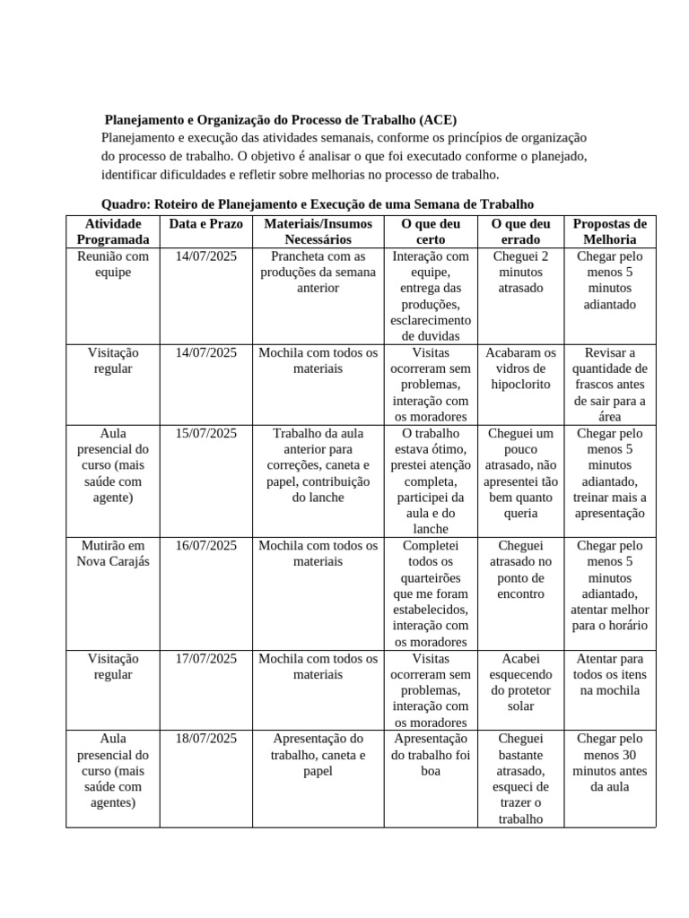 Aula 18 - Planejamento e Organização Do Processo de Trabalho (ACE) | PDF