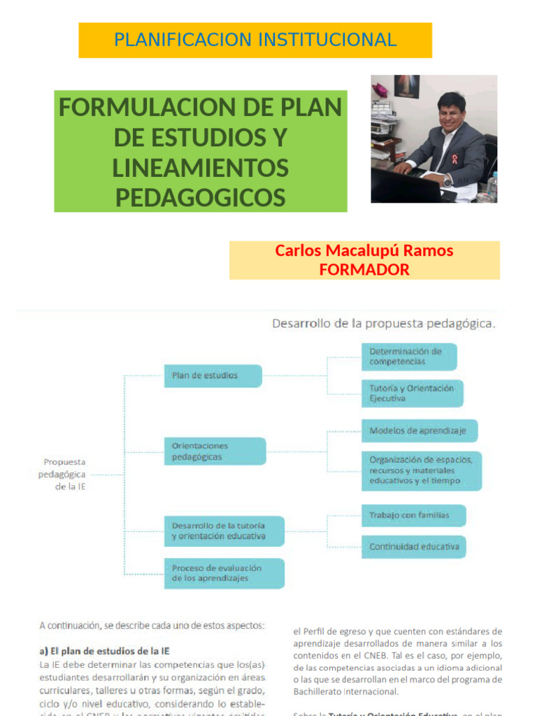 Formulacion de Plan de Estudios y Lineamientos Pedagogicos | PDF