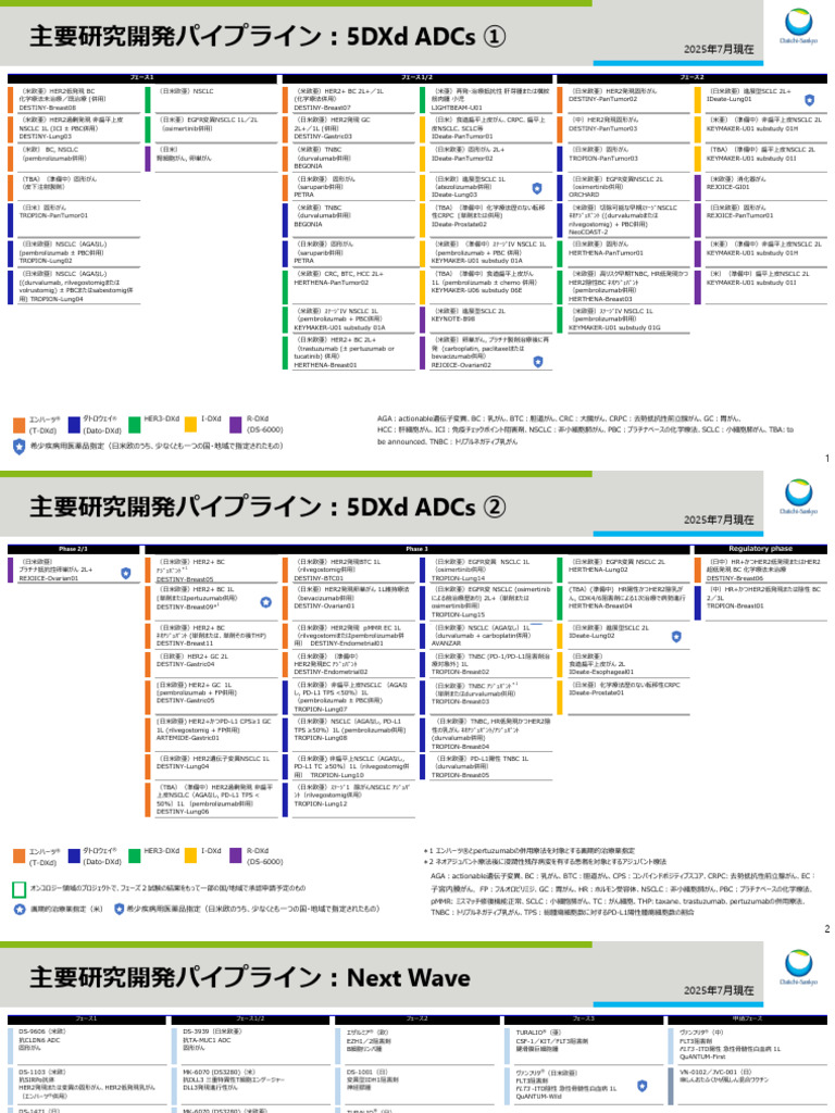 第一三共pipeline日 | PDF