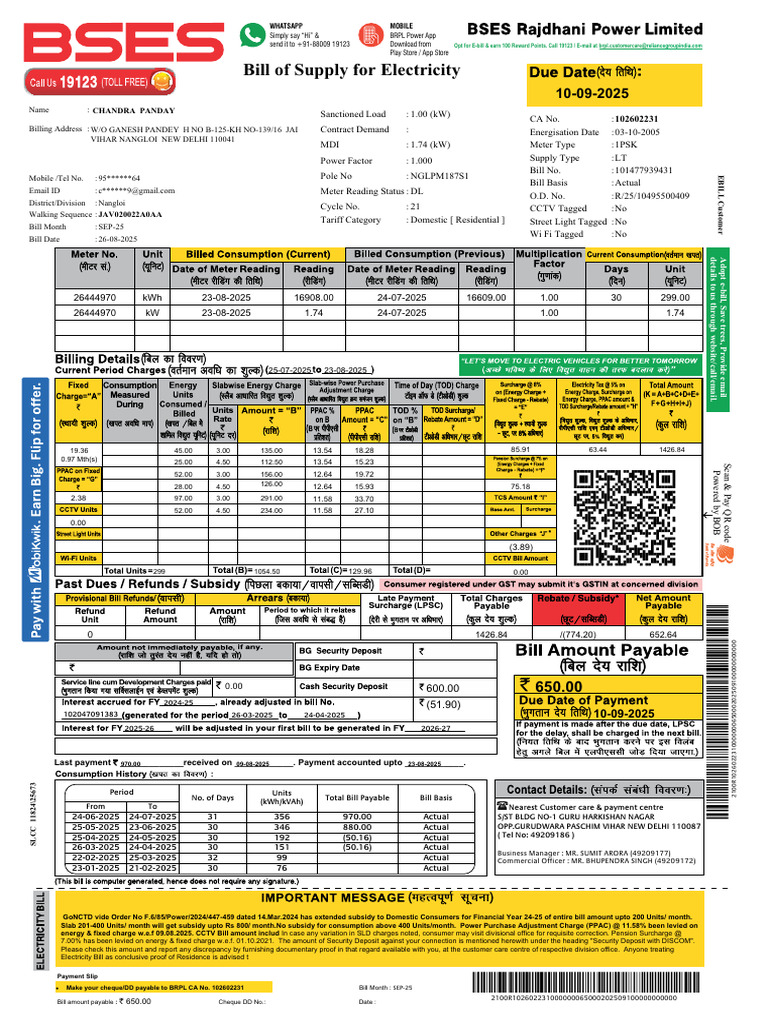 BRPL Electricity Bill Summary | PDF