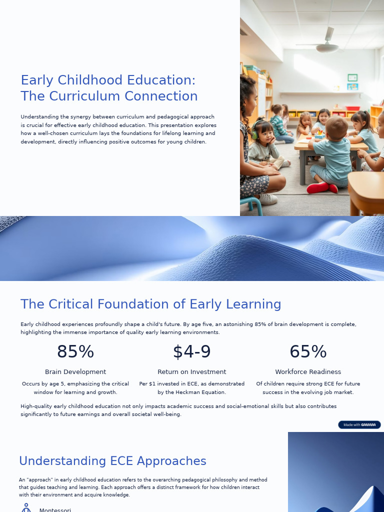 Early Childhood Education Curriculum Insights | PDF | Early Childhood ...