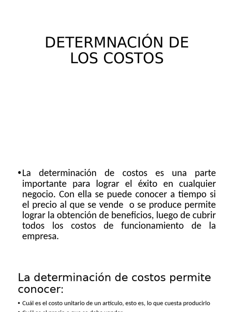 Determinación de Costos en Negocios | PDF