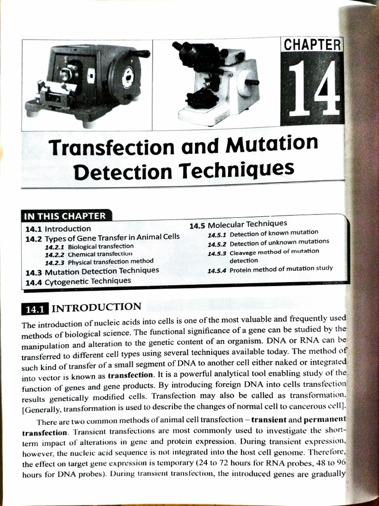 Mutation Detection Techniques | PDF