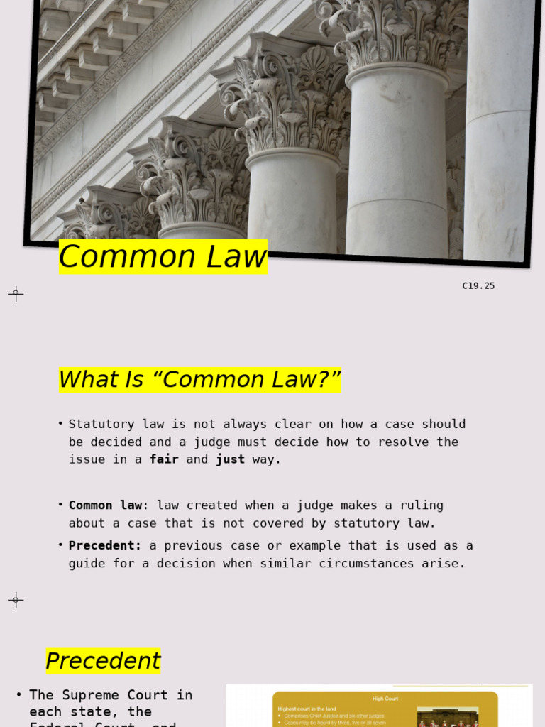 Understanding Common Law and Precedent | PDF