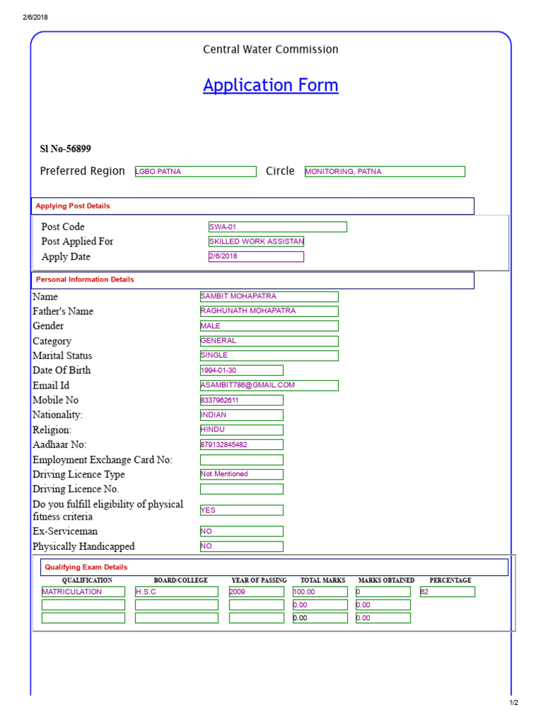 Skilled Work Assistant Application Form | PDF | Driver's License