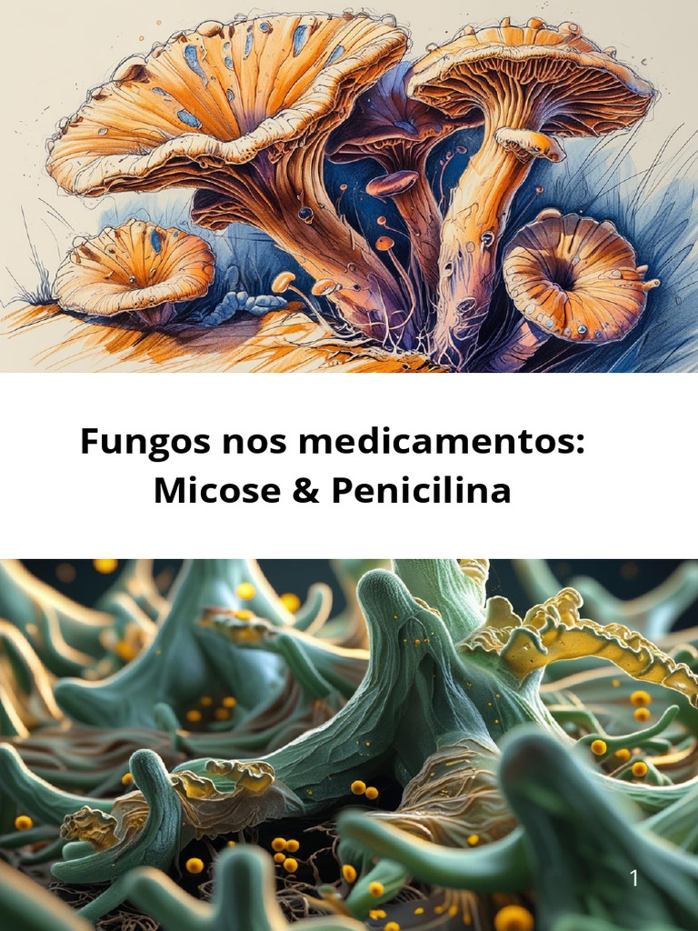 Fungos: Micoses e Penicilina Explicadas | PDF | Fungo | Penicilina