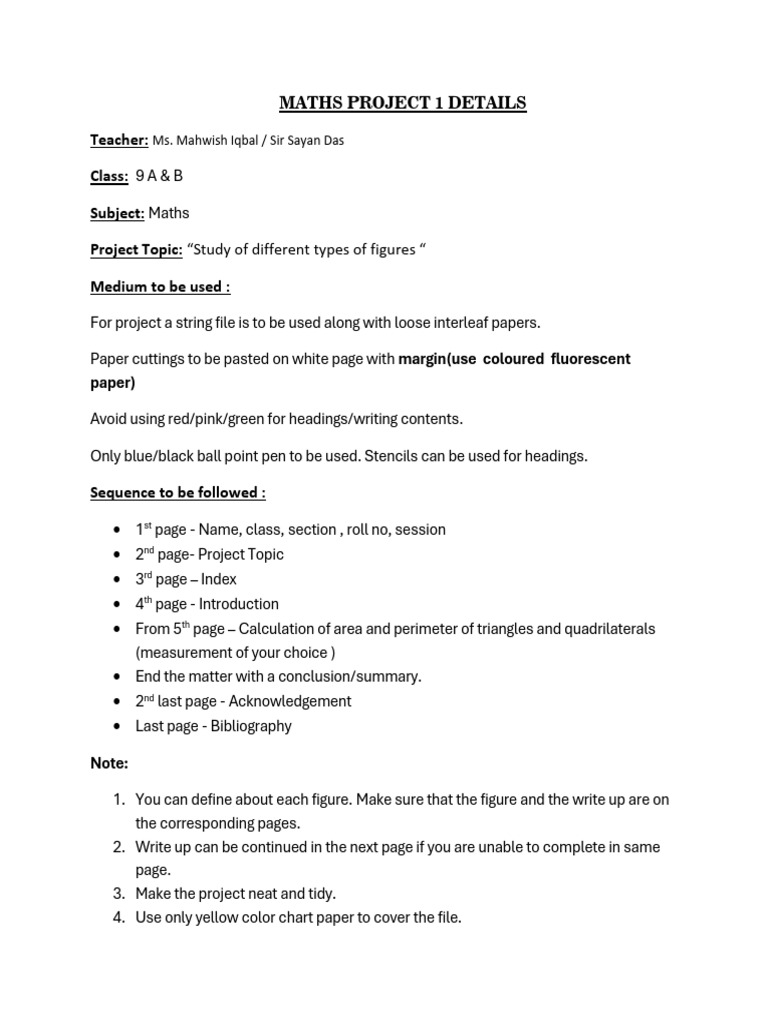 Maths Project on Figure Types | PDF