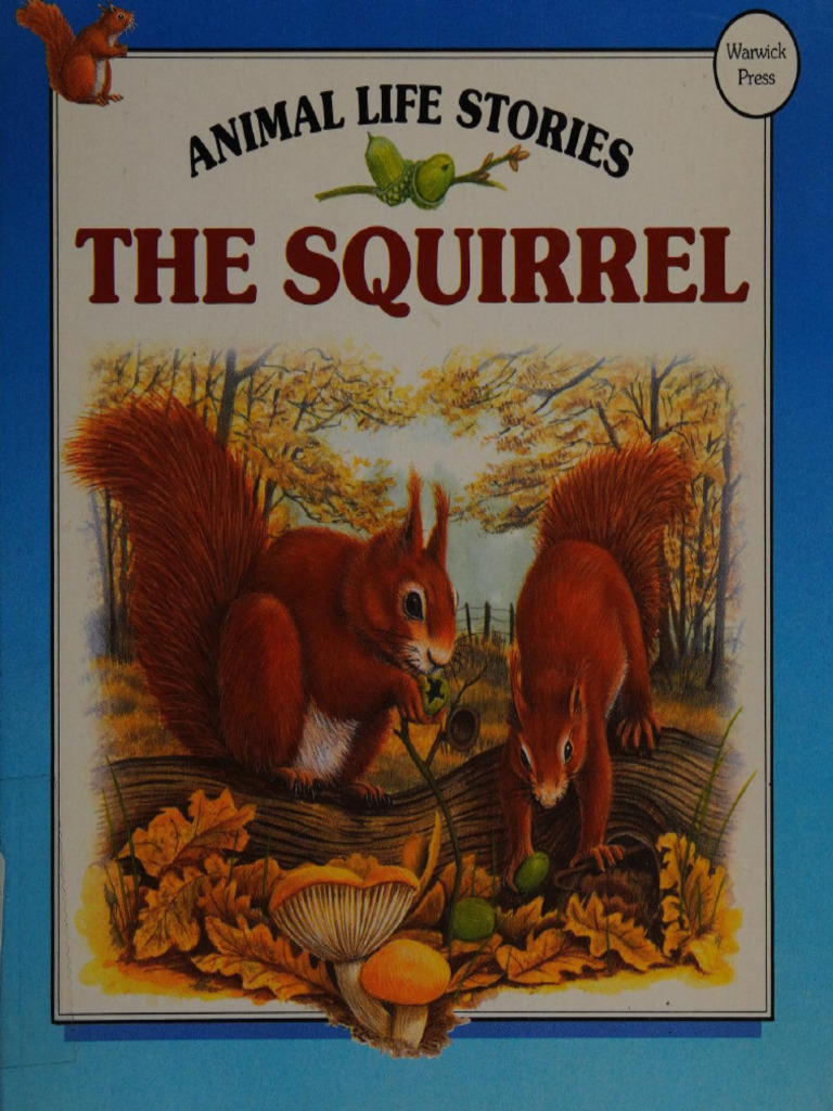 The Squirrel | PDF