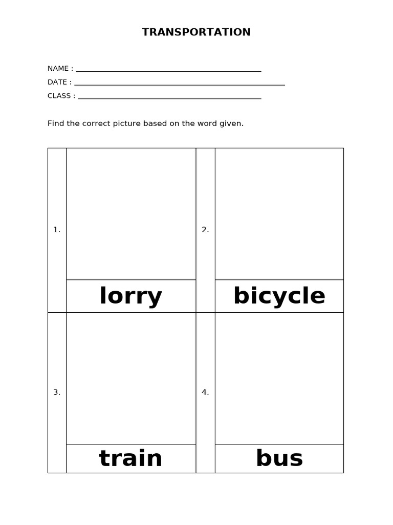 Worksheet Transport | PDF