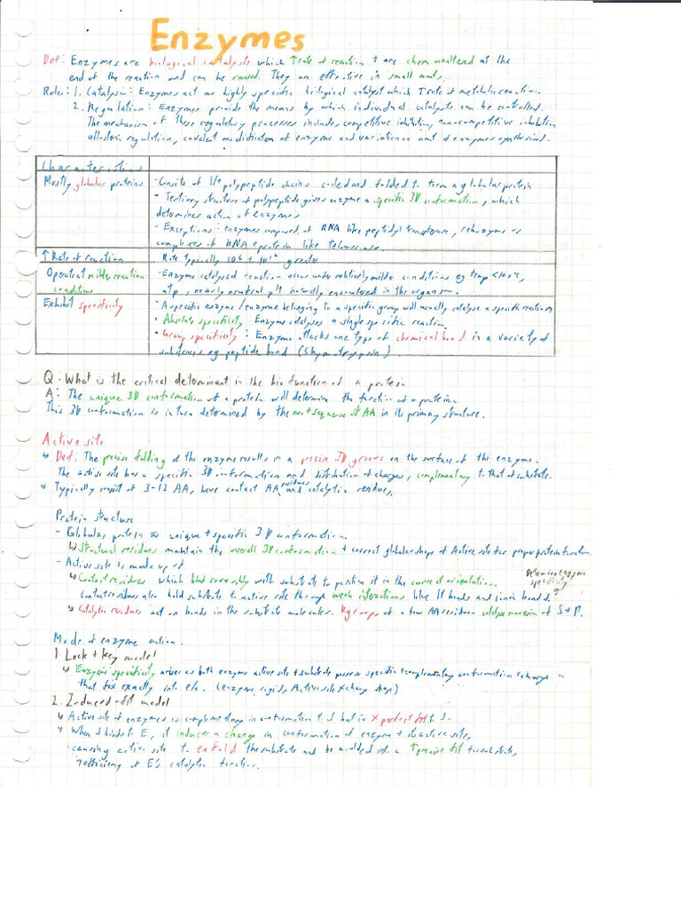 H2 Bio Enzymes Notes (SG) | PDF