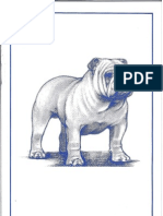 BCA Illustrated Bulldog Guide
