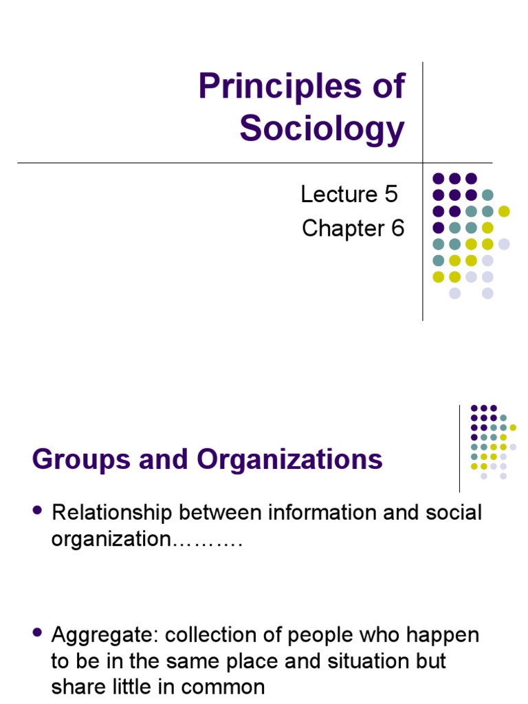 Socio Lecture 5 | PDF | Leadership | Sociological Theories