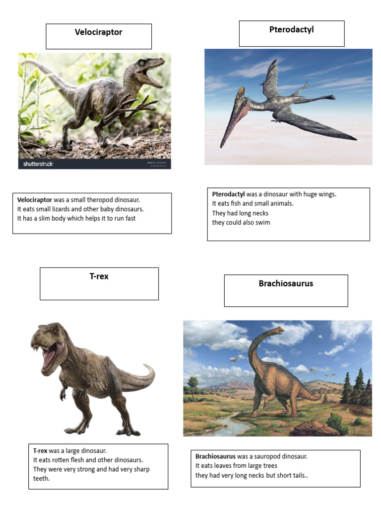Dino | PDF