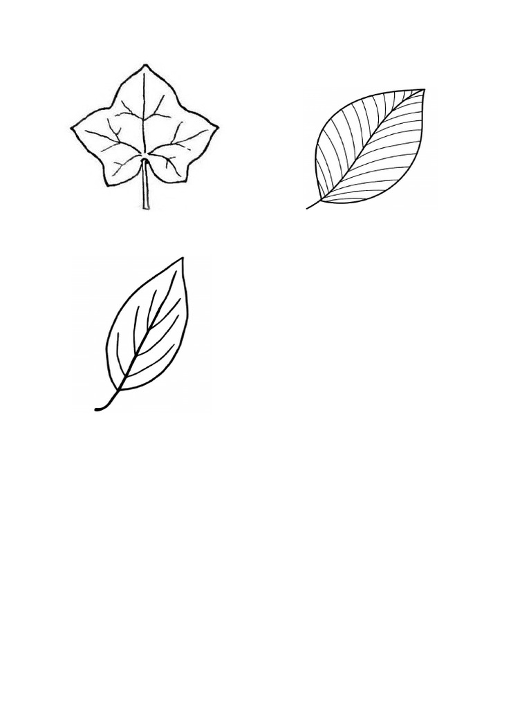 Leaf | PDF
