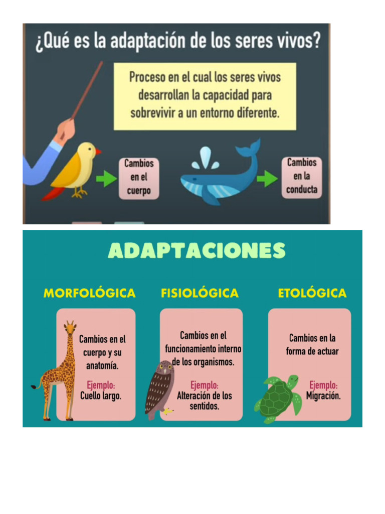 Adaptacion de Los Animales | PDF