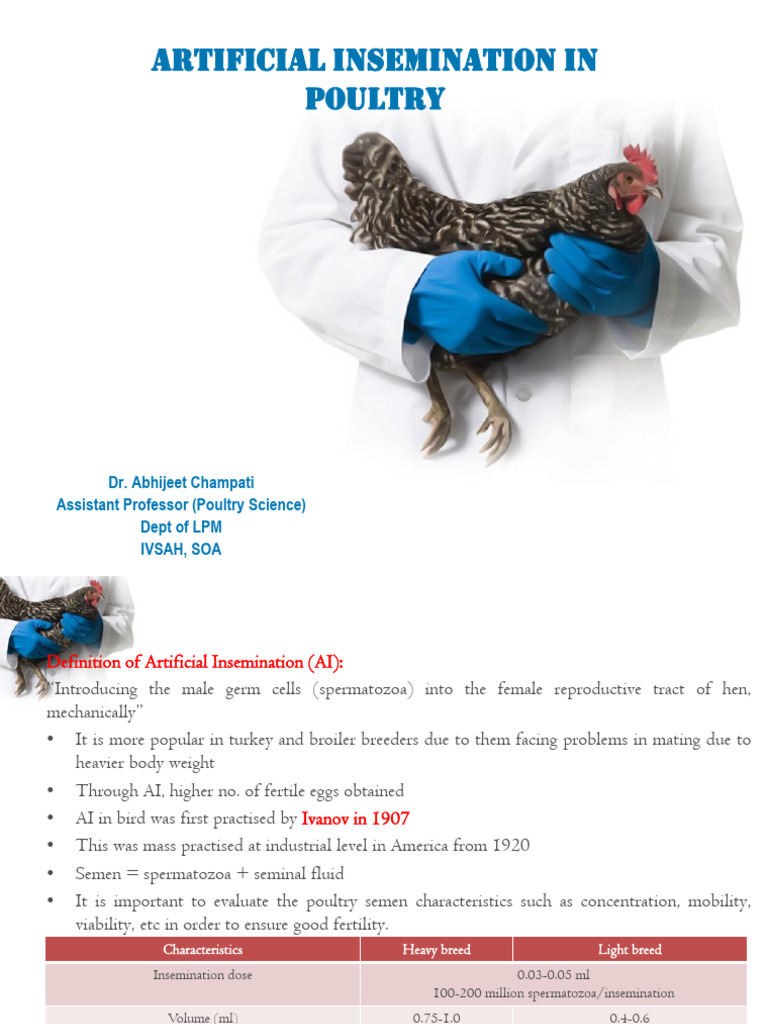 Poultry Artificial Insemination Guide | PDF | Semen | Poultry
