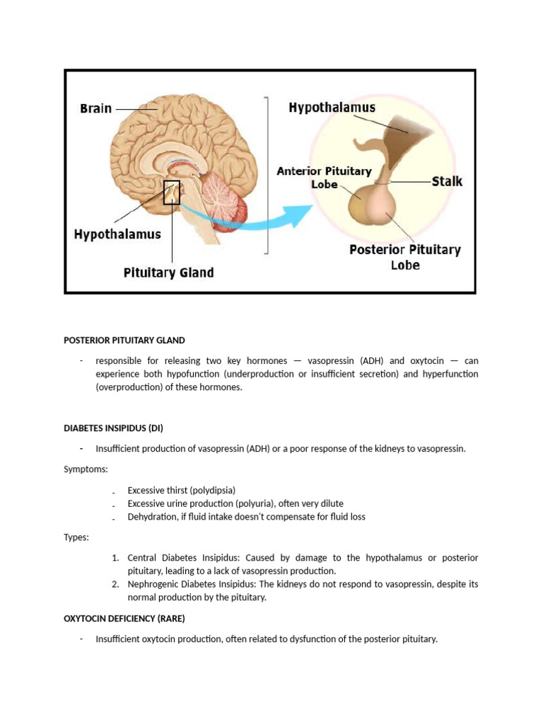 Posterior Pituitary Gland Dysfxn | PDF