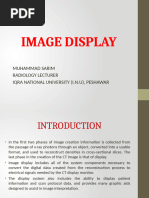 Loopogram Procedure Overview | PDF