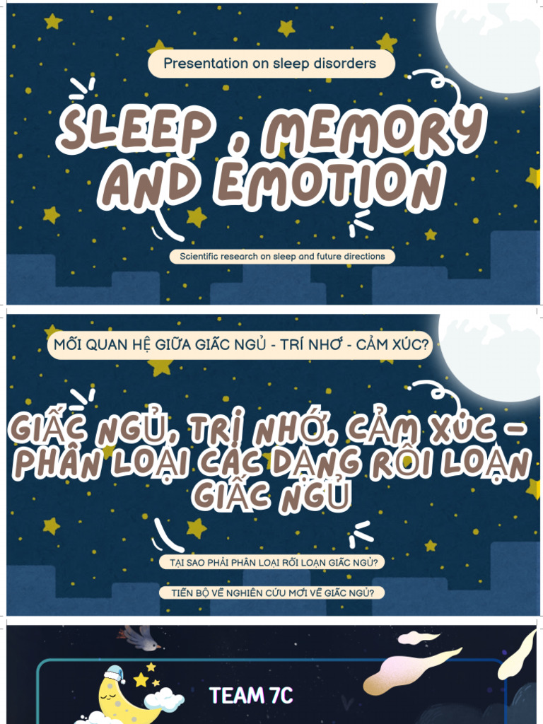 24txtlh2 - nhóm 7c - bài Thuyết Trình 1 | PDF