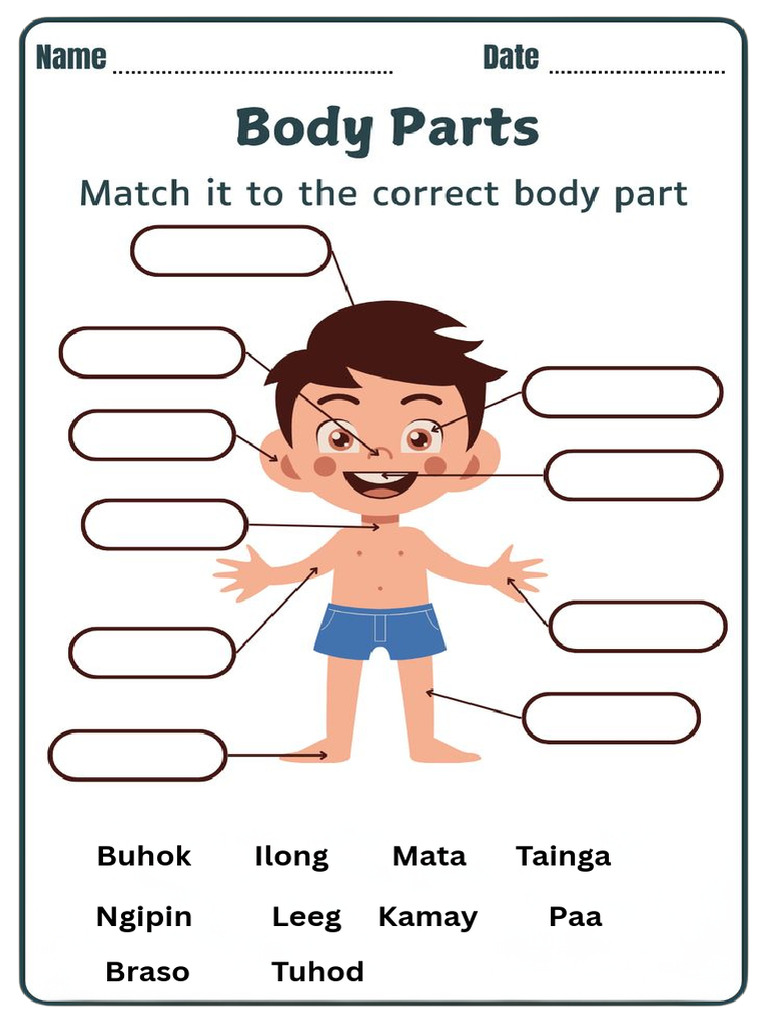 Bahagi NG Katawan Activity | PDF