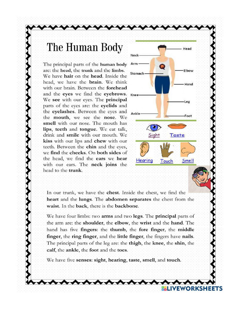 Worksheet 1050552 | PDF