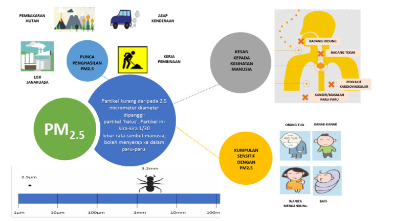 Introduction of PM25 | PDF