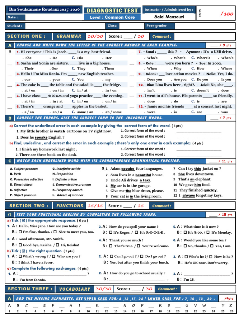 Diagnostic Test for Common Core English | PDF | Adverb | Linguistic ...