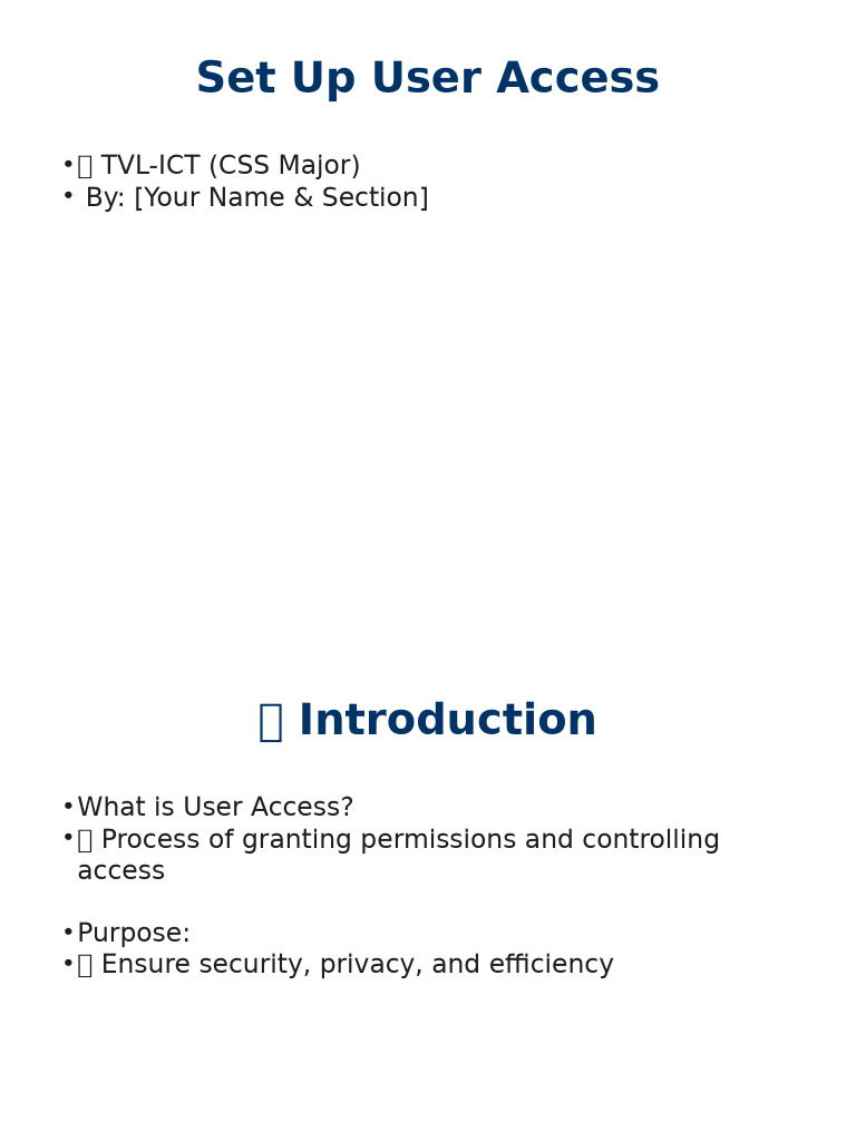 User Access Setup Guide for Security | PDF