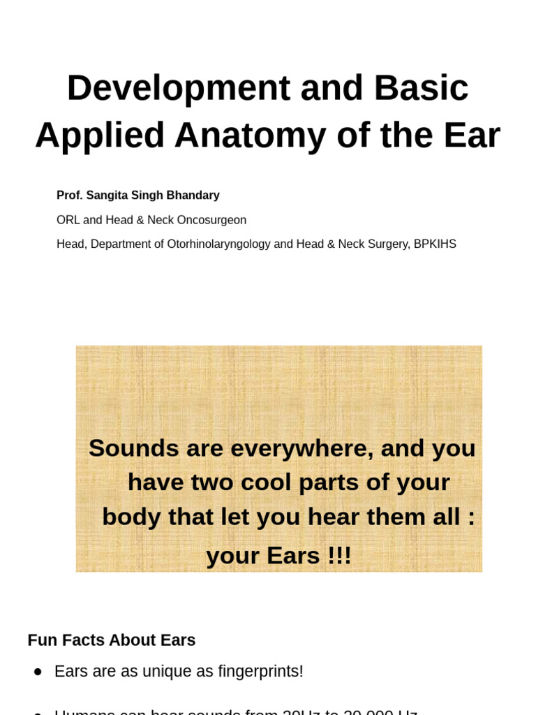 Anatomy and Function of the Ear | PDF | Ear | Auditory System