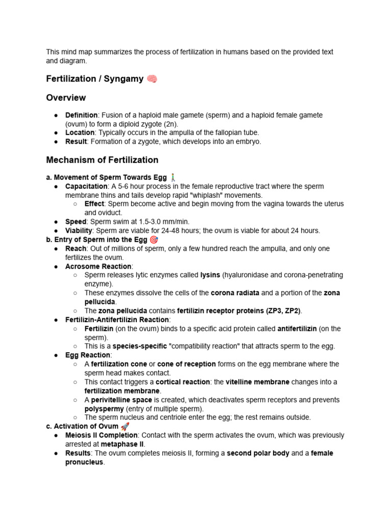 Syngamy and Fertilization Process Explained | PDF | Fertilisation | Meiosis