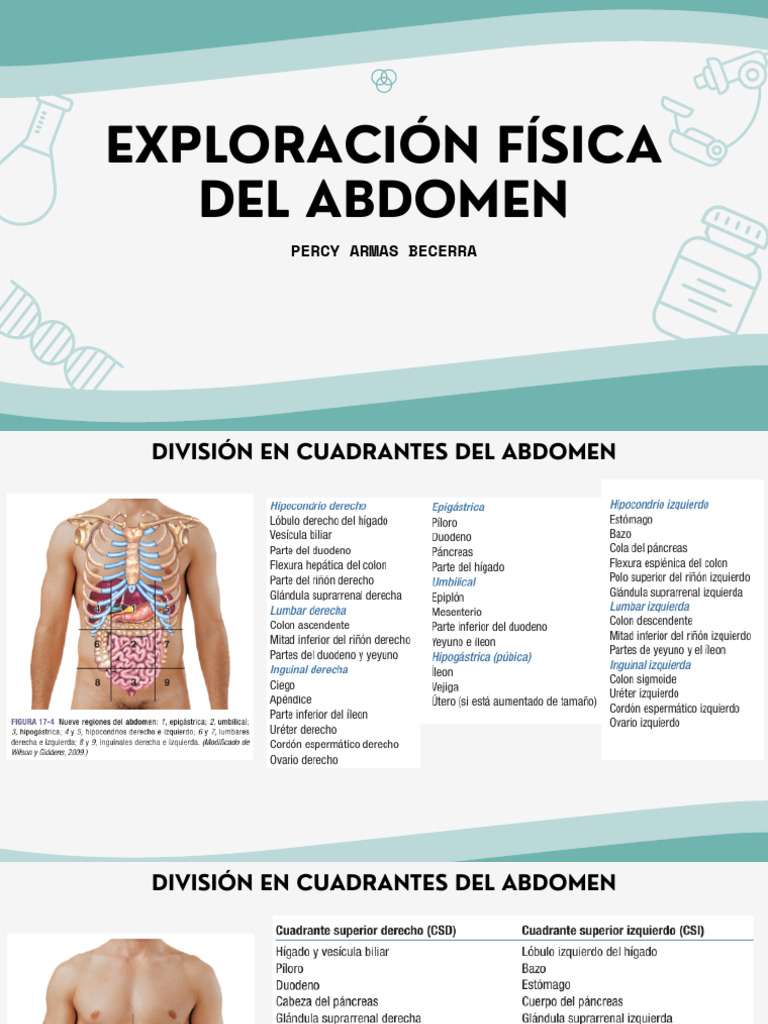 Exploración del Abdomen y Ombligo | PDF | Abdomen | Especialidades Medicas