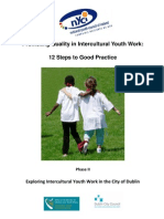 12 Steps 2 Good Intercultural Practice Phase2