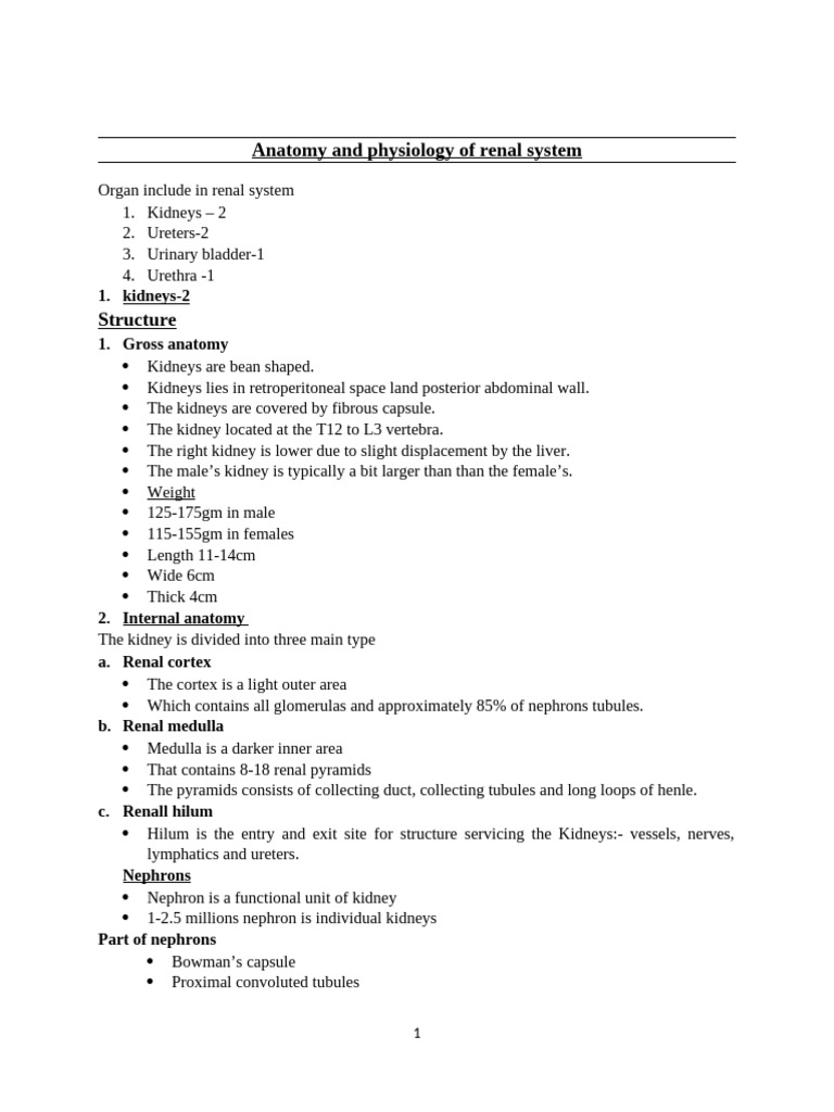 Renal System Case Study Overview | PDF | Kidney | Hemodialysis