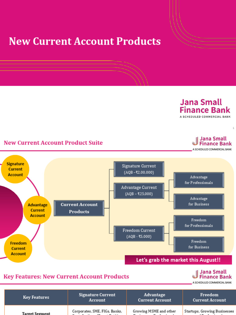 New Current Account Offerings 2025 | PDF | Transaction Account | Cheque
