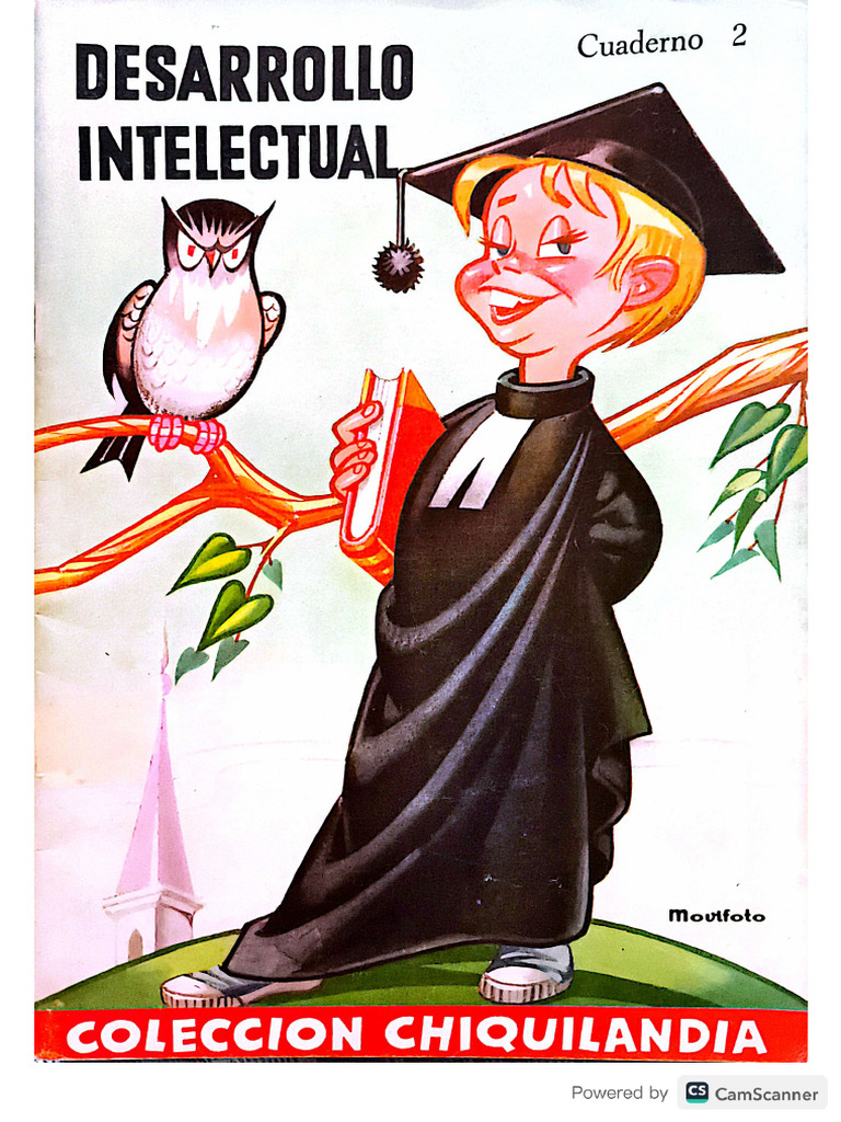 Desarrollo Intelectual Actividades | PDF