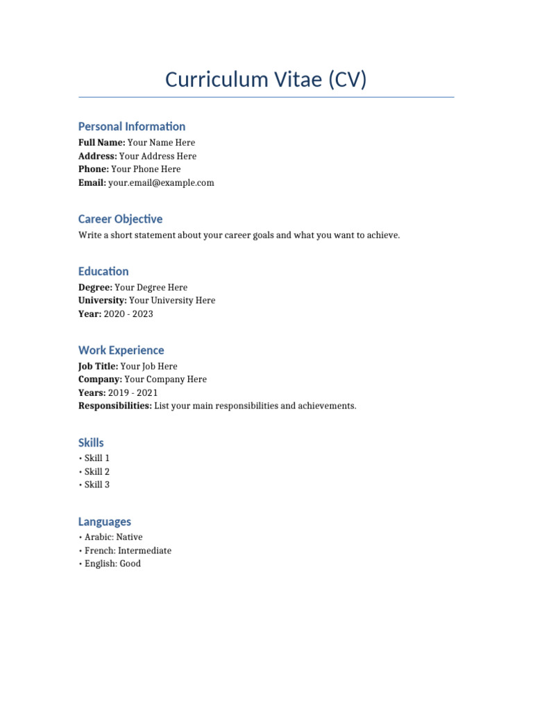 Professional CV Template Guide | PDF