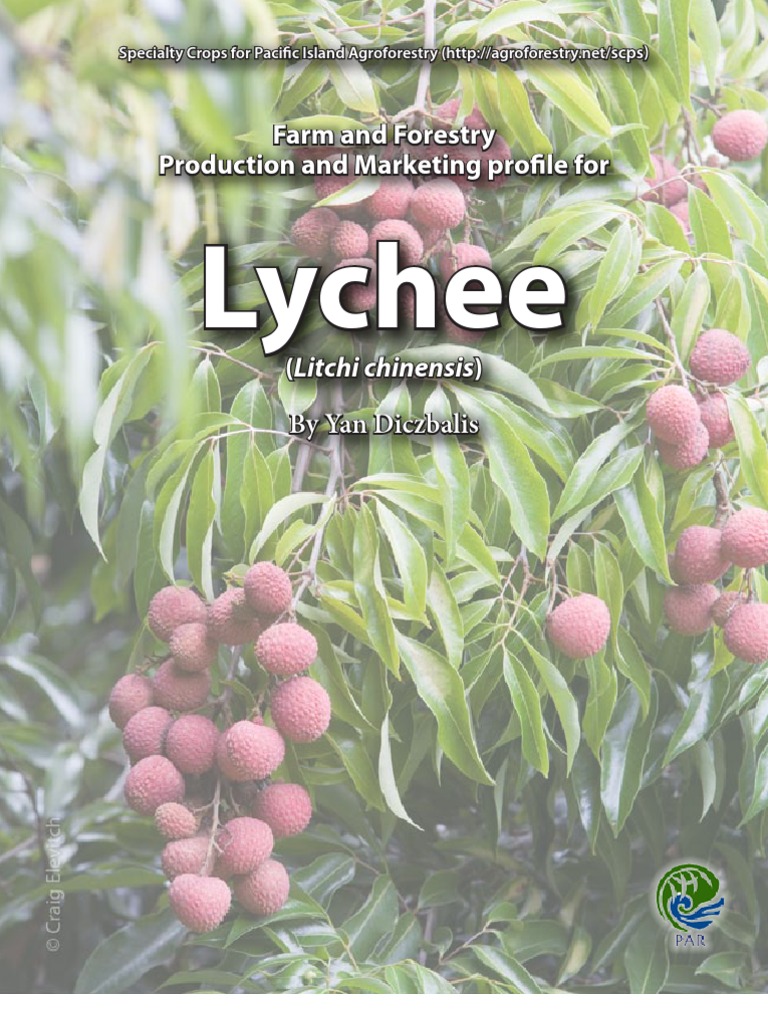 Lychee Specialty Crop | PDF | Rain | Trees