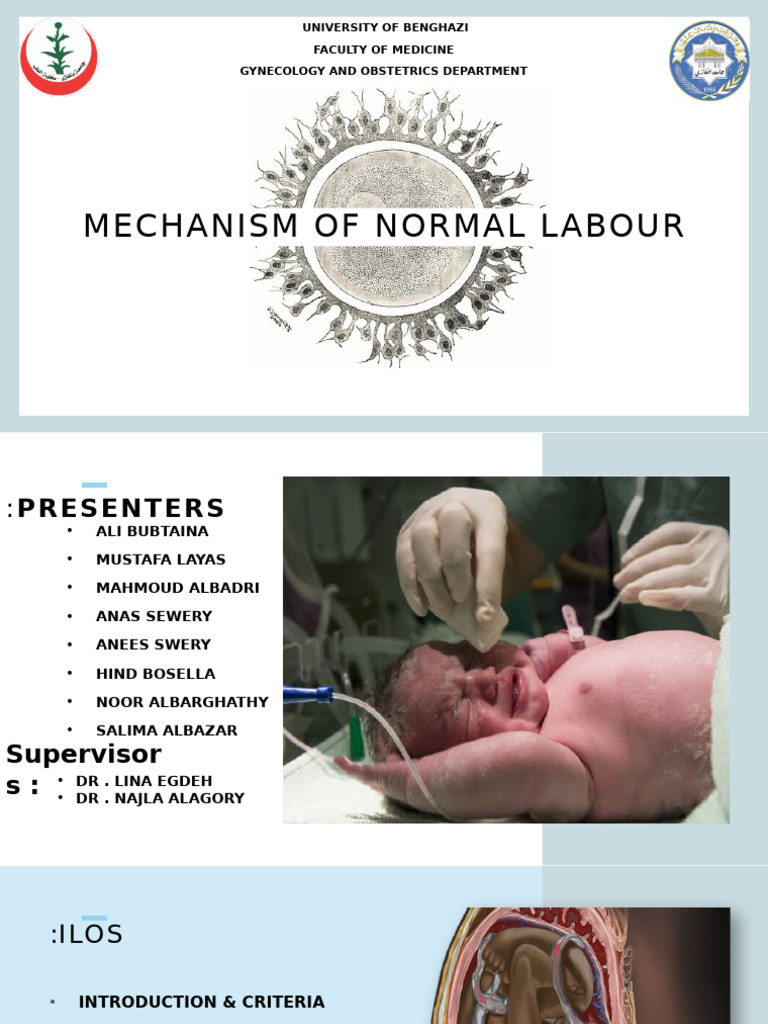 Mechanism of Normal Labour Explained | PDF | Pelvis | Childbirth