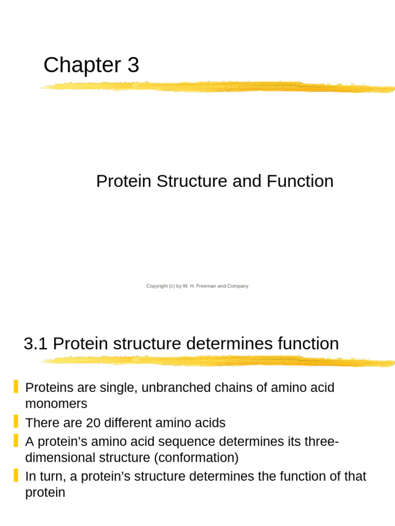Protein Structure and Function Overview | PDF | Protein Structure ...
