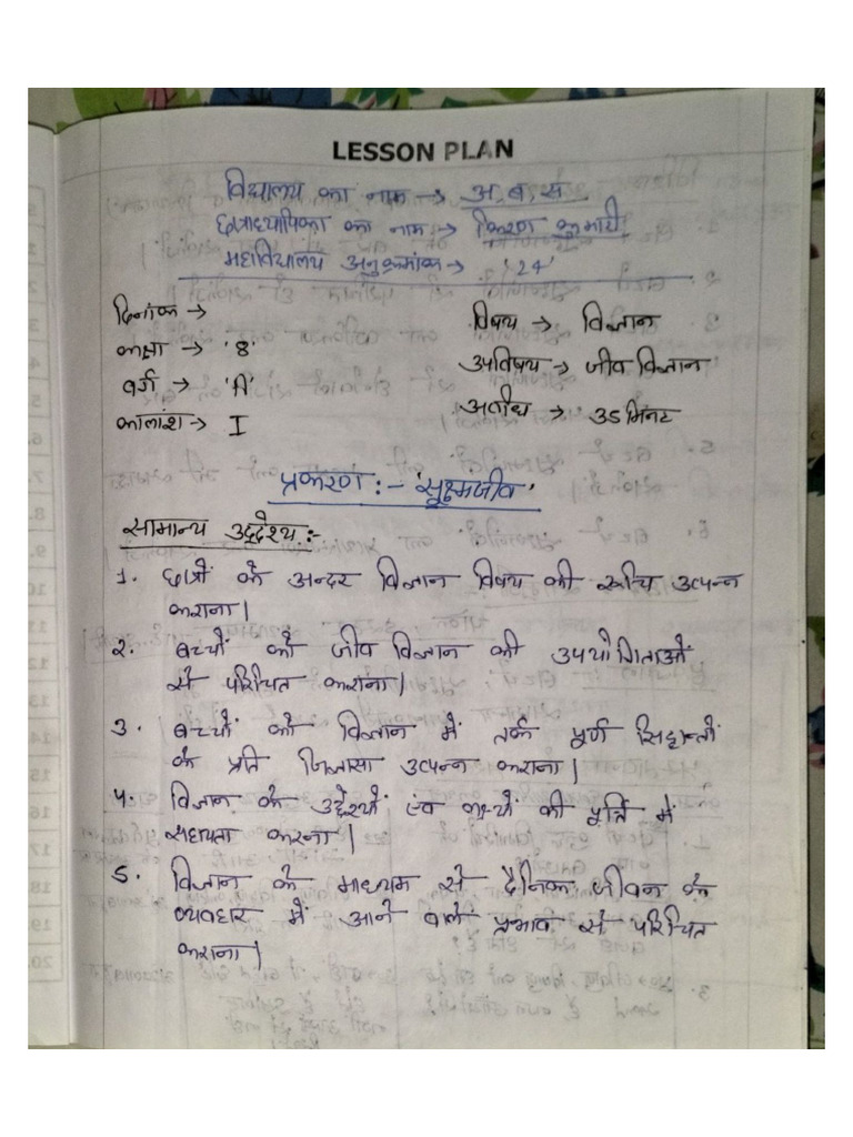 Lesson Plan B.ed 1 | PDF