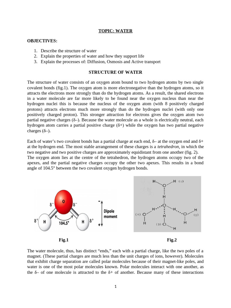 Structure and Properties of Water | PDF | Water | Properties Of Water