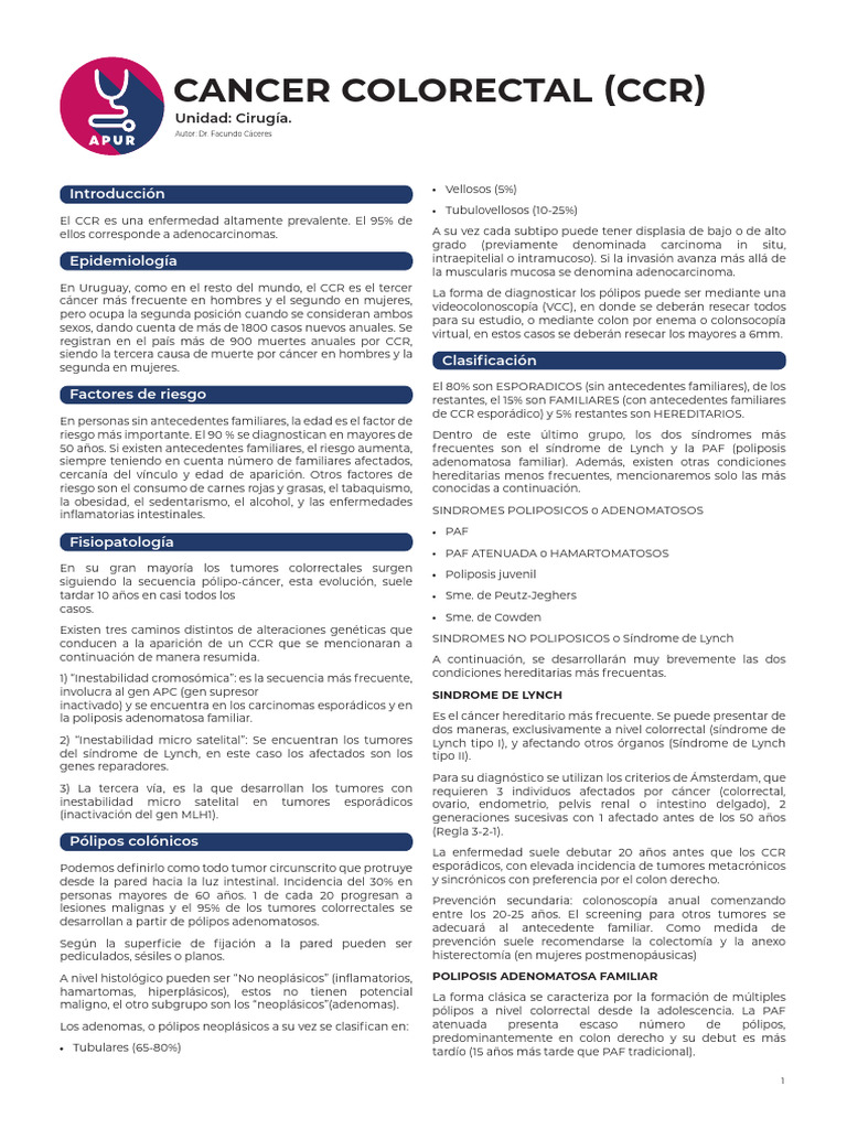 Cáncer Colorrectal: Tipos y Prevención | PDF | Cáncer colonrectal ...